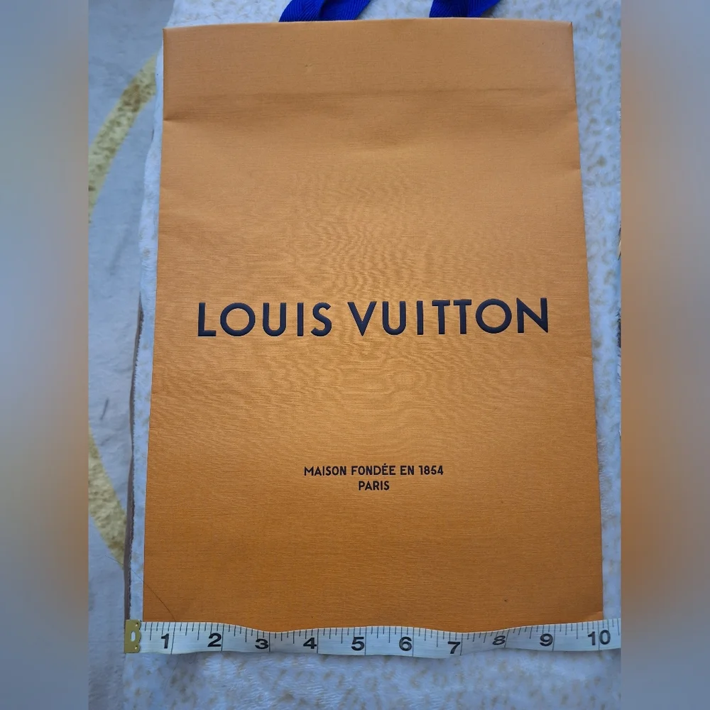 Louis Vuitton Paper Bag
